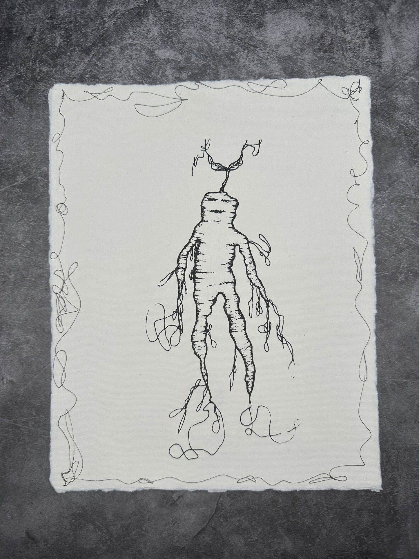 Mandrake