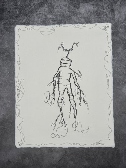 Mandrake