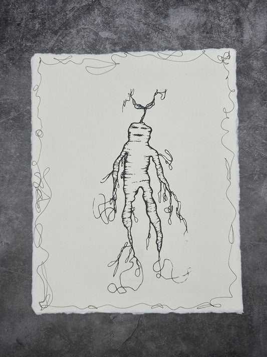 Mandrake